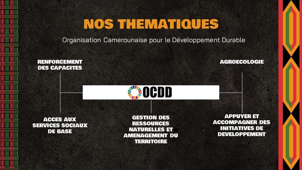 You are currently viewing L’Organisation Camerounaise pour le Développement Durable (OCDD)