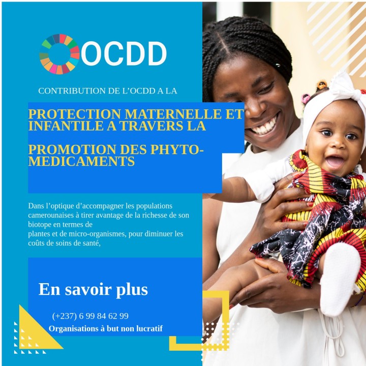 You are currently viewing CONTRIBUTION DE L’OCDD A LA PROTECTION MATERNELLE ET INFANTILE A TRAVERS LA PROMOTION DES PHYTO – MEDICAMENTS