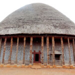 L’importance de la préservation du Raphia dans la région de l’ouest Cameroun