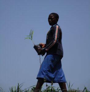 Read more about the article Investir dans les filles pour transformer l’avenir