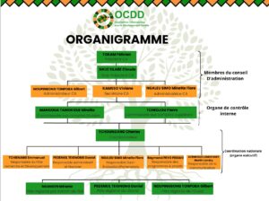 Read more about the article ORGANIGRAMME